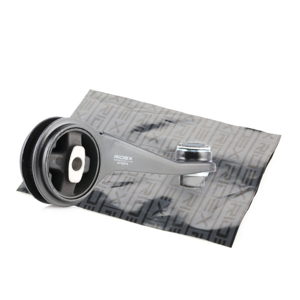 RIDEX Mootoripadi 247E0018