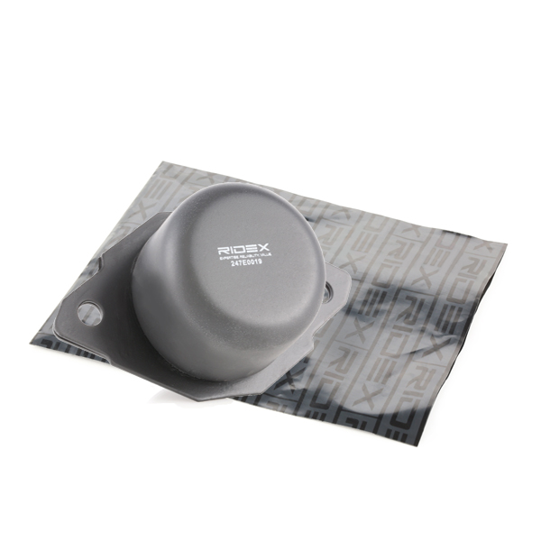 RIDEX variklio montavimas 247E0019