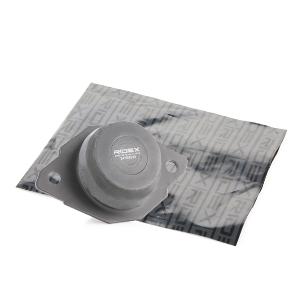 RIDEX Moottorin tuki 247E0023