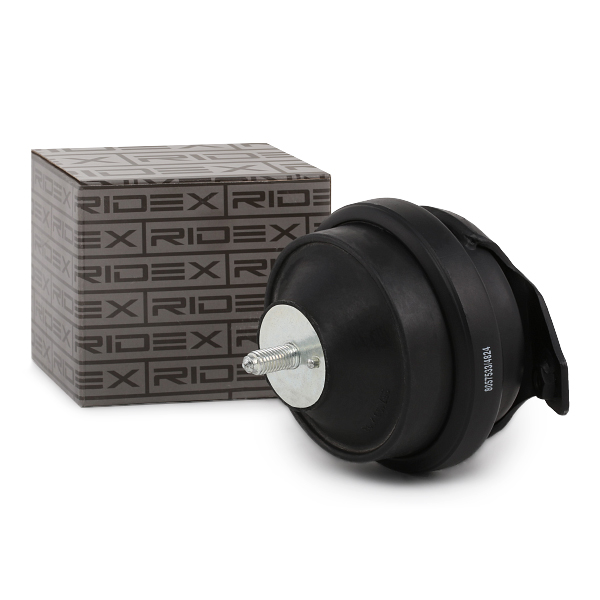 RIDEX variklio montavimas 247E0026