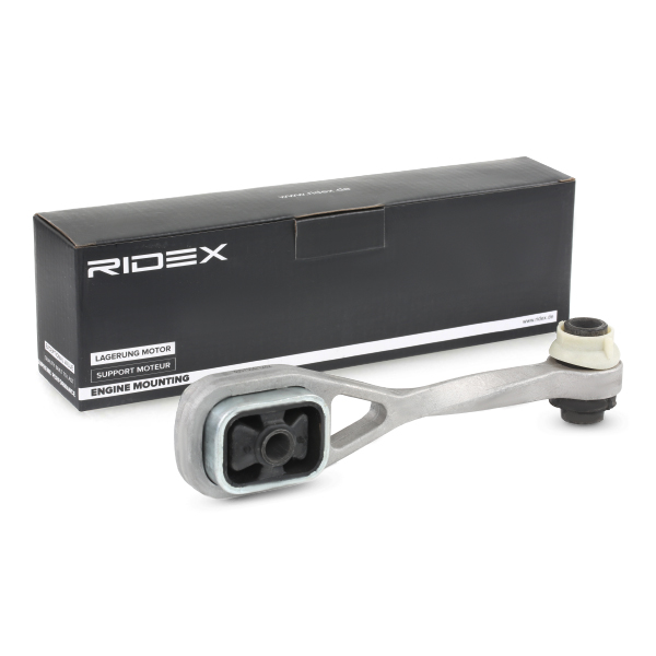 RIDEX Mootoripadi 247E0048