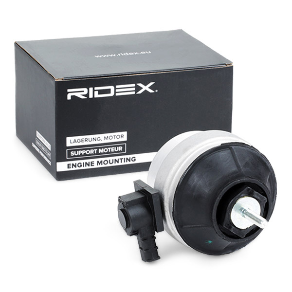 RIDEX Moottorin tuki 247E0051