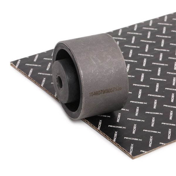 RIDEX Mootoripadi 247E0057
