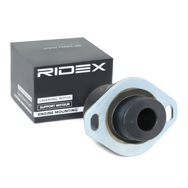 RIDEX Mootoripadi 247E0066