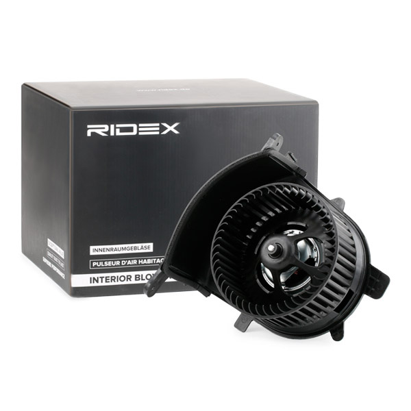 RIDEX Salongipuhur 2669I0025