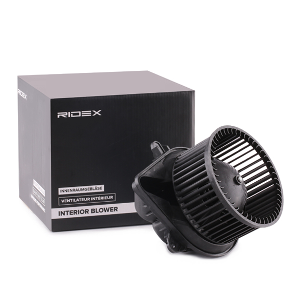 RIDEX Salongipuhur 2669I0027