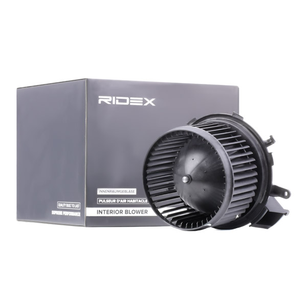 RIDEX Salongipuhur 2669I0050