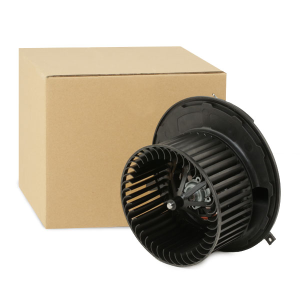 RIDEX Salongipuhur 2669I0067