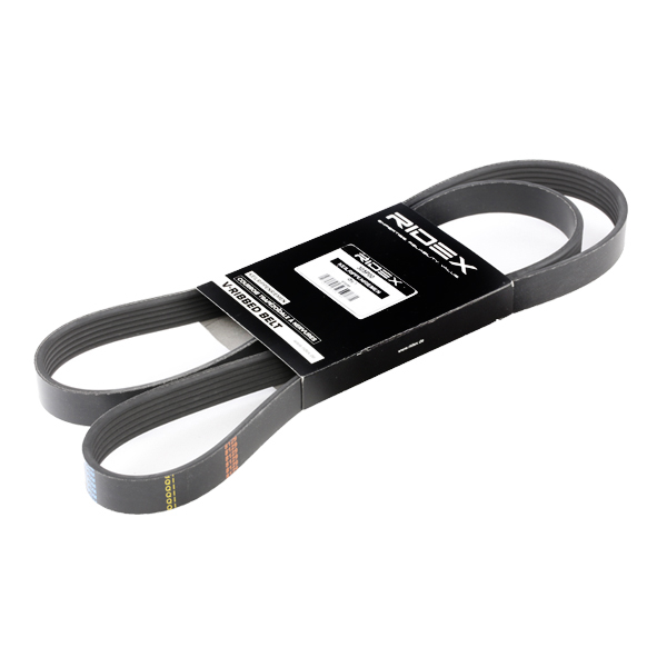 RIDEX Moniurahihna 305P0075