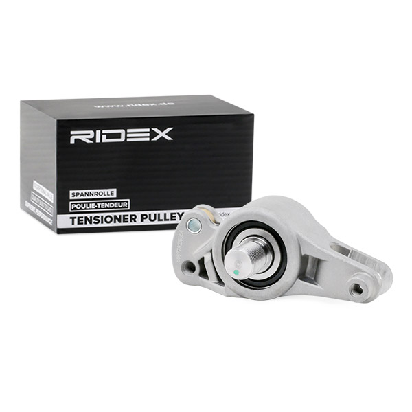 RIDEX Napinacz, pasek klinowy wielorowkowy 540T0003