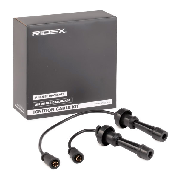 RIDEX Süütesüsteemikomplekt 685I0027