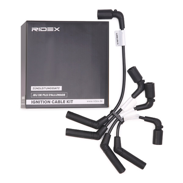 RIDEX Süütesüsteemikomplekt 685I0118