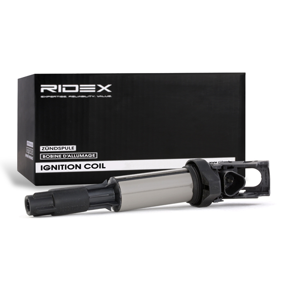 RIDEX Süütepool 689C0005
