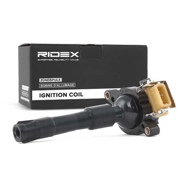 RIDEX Süütepool 689C0010