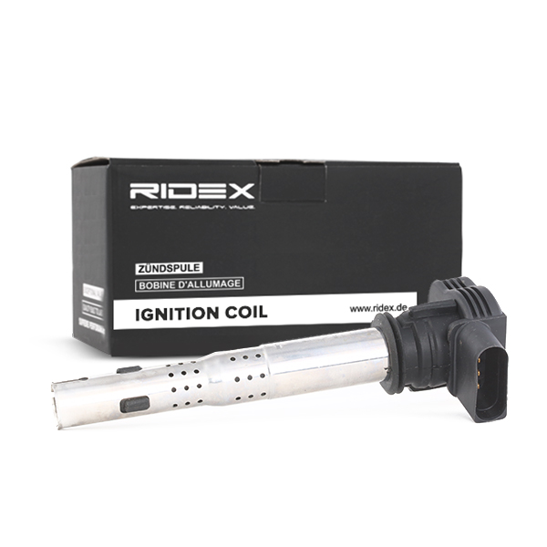 RIDEX ritė, uždegimas 689C0019