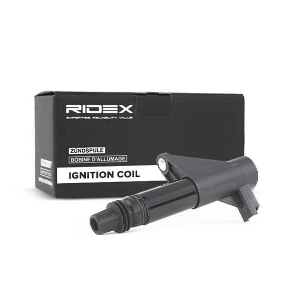RIDEX Süütepool 689C0020