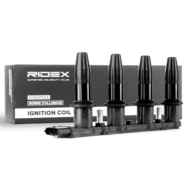RIDEX ritė, uždegimas 689C0027