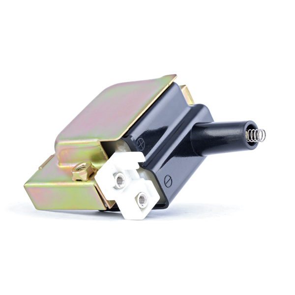 RIDEX Süütepool 689C0038