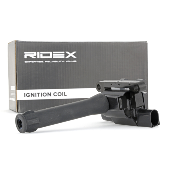 RIDEX Süütepool 689C0060