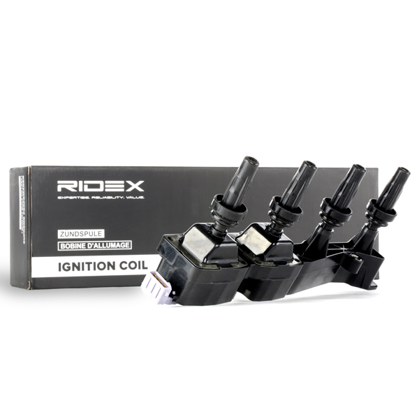 RIDEX Süütepool 689C0076