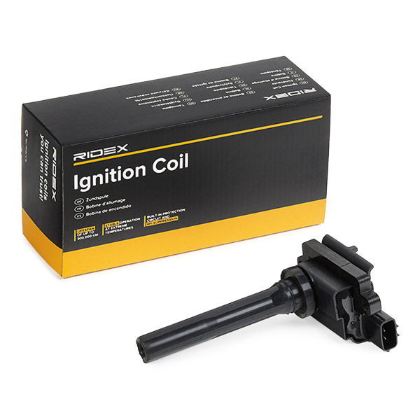 RIDEX Süütepool 689C0083