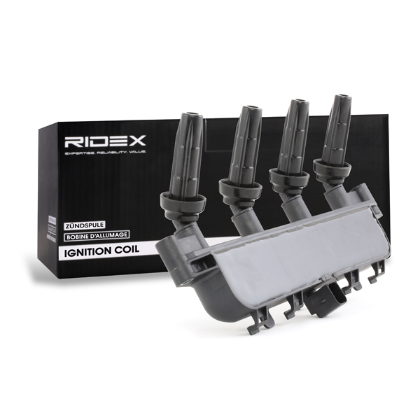 RIDEX Süütepool 689C0091