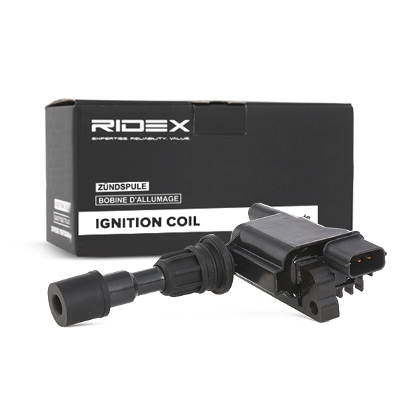 RIDEX Süütepool 689C0097