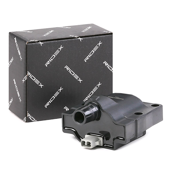 RIDEX Süütepool 689C0100