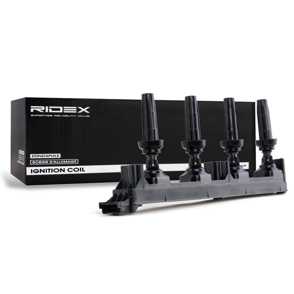 RIDEX Süütepool 689C0111