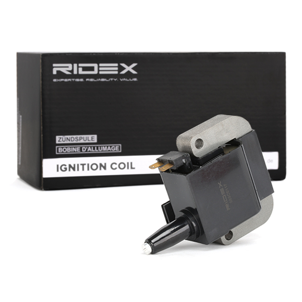 RIDEX Süütepool 689C0117