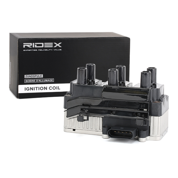 RIDEX ritė, uždegimas 689C0126