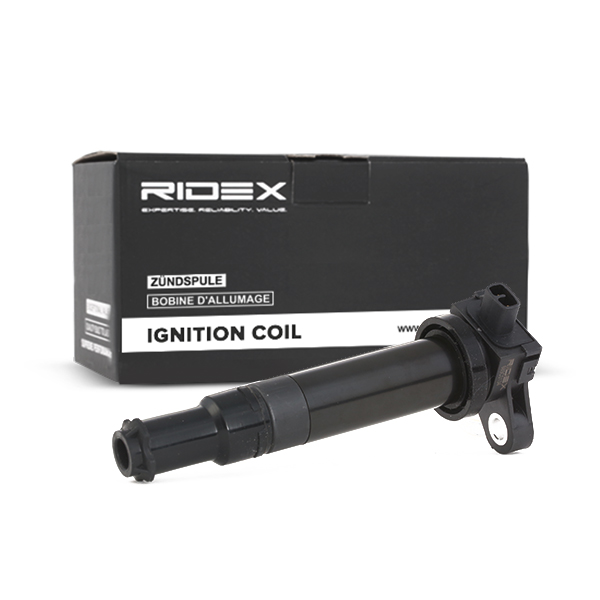RIDEX Süütepool 689C0134
