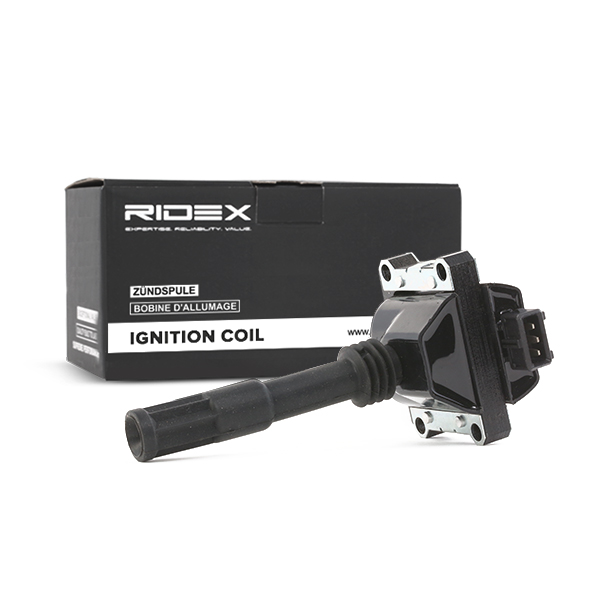 RIDEX Süütepool 689C0146