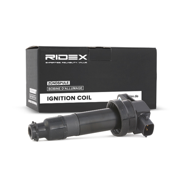 RIDEX Süütepool 689C0161