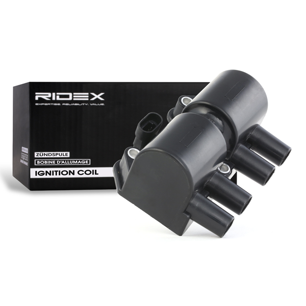 RIDEX ritė, uždegimas 689C0162