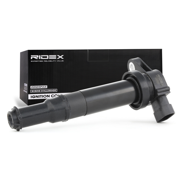 RIDEX Süütepool 689C0207