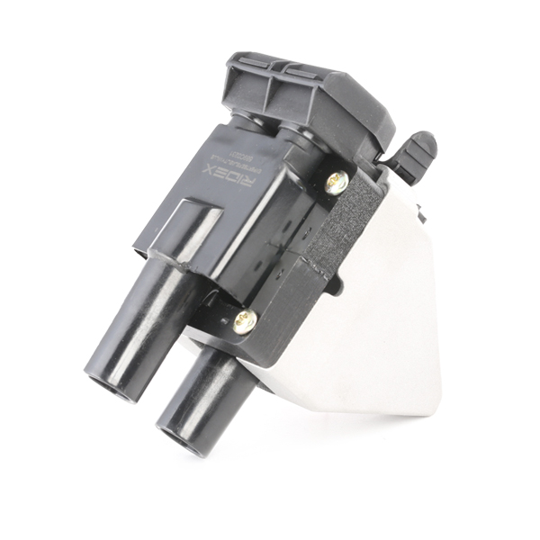 RIDEX Süütepool 689C0231