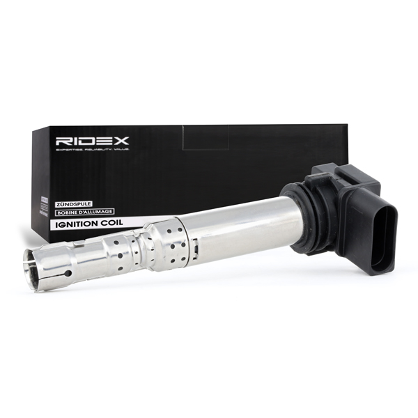 RIDEX ritė, uždegimas 689C0235