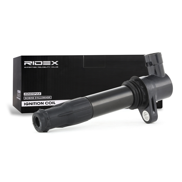 RIDEX Süütepool 689C0260