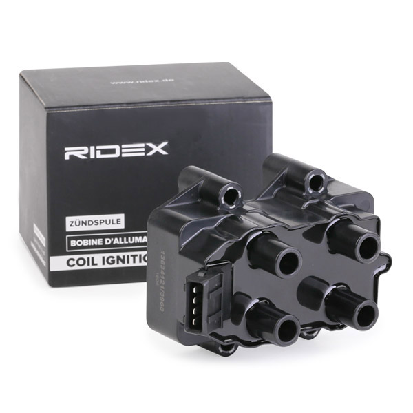 RIDEX Süütepool 689C0300