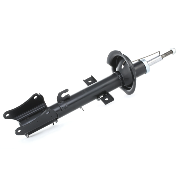 RIDEX Amortisaator 854S0119