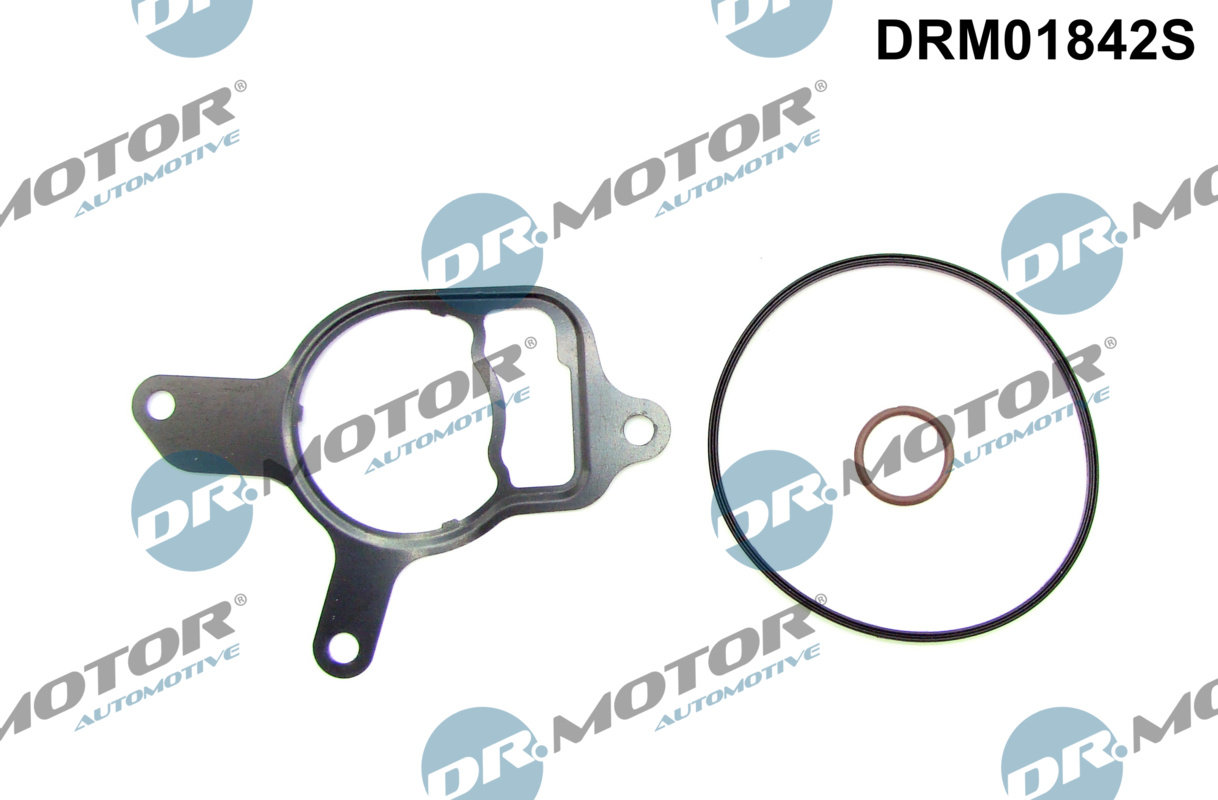 Dr.Motor Automotive Zestaw uszczelnień, pompa podciśnieniowa DRM01842S