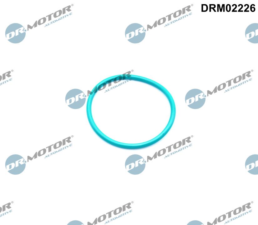 Dr.Motor Automotive Tihend, EGR-klapp DRM02226