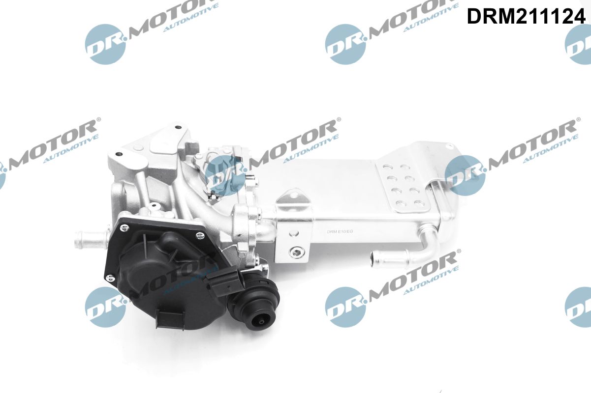 Dr.Motor Automotive EGR-klapp DRM211124