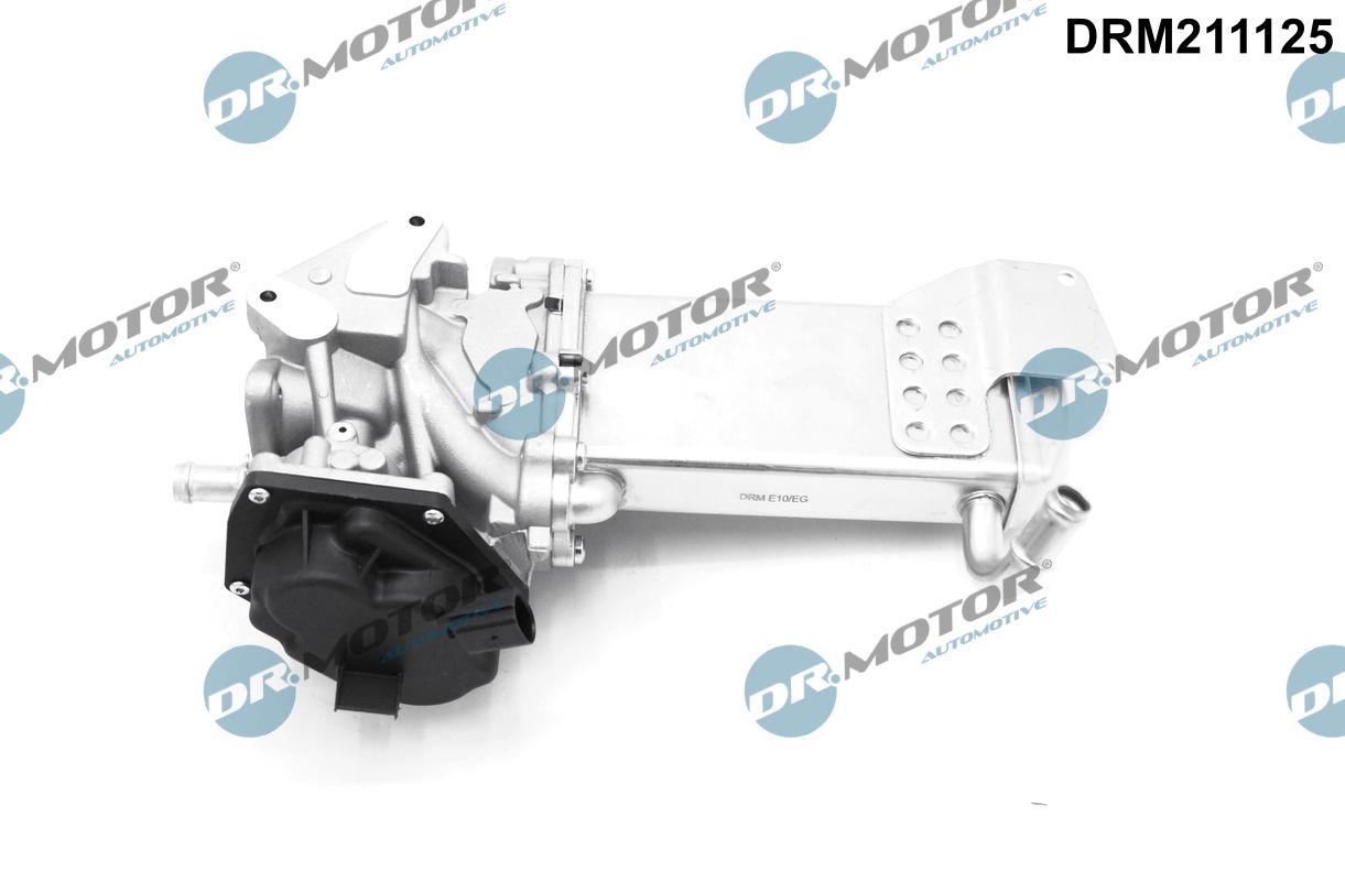Dr.Motor Automotive EGR-klapp DRM211125