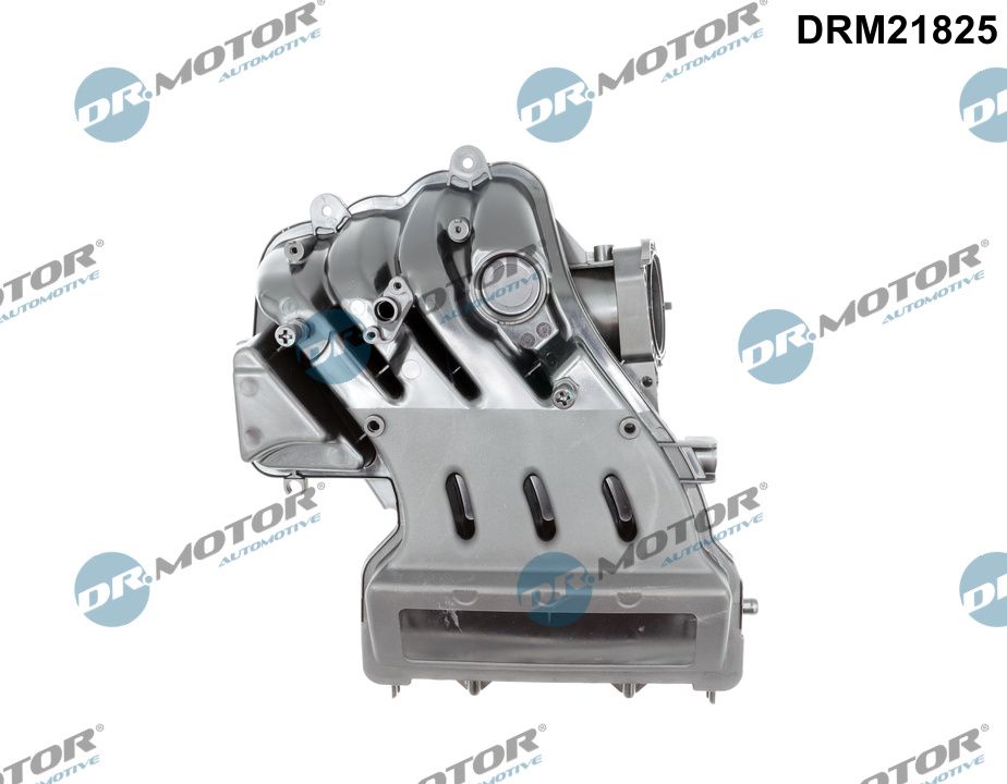 Dr.Motor Automotive įsiurbimo kolektoriaus modulis DRM21825