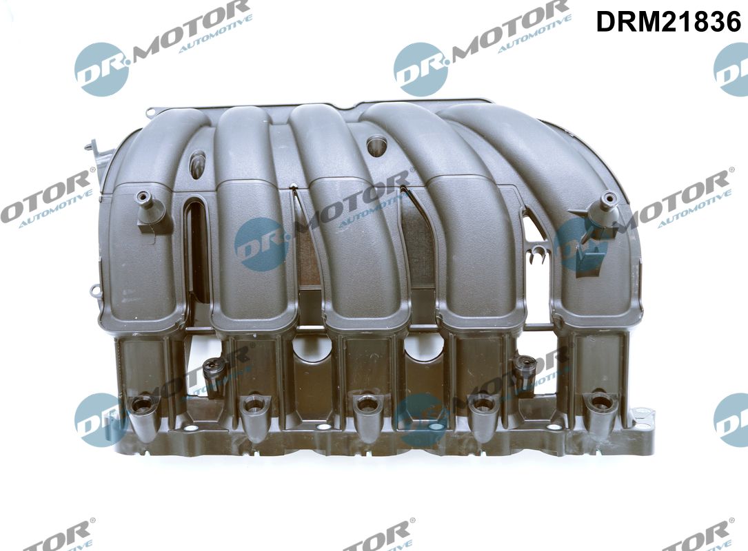 Dr.Motor Automotive įsiurbimo kolektoriaus modulis DRM21836