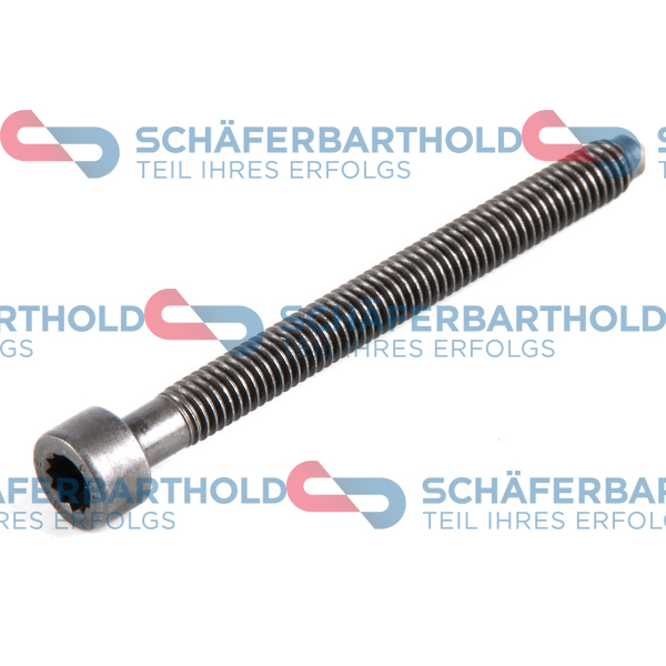 ORIGINAL Schäferbart Säätöruuvi, ruiskutuspumppu 100 18 299 01 11