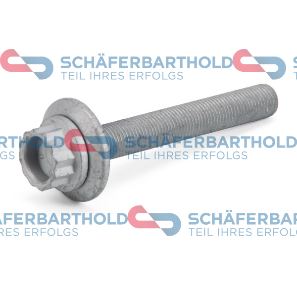 ORIGINAL Schäferbart skriemulio varžtas 100 18 316 01 11