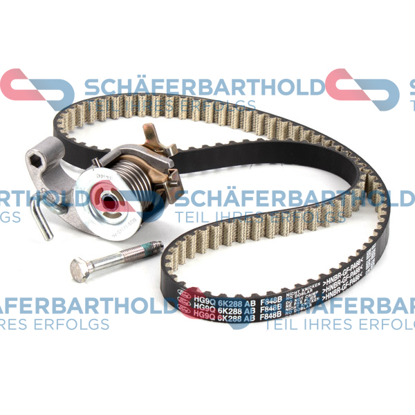 ORIGINAL Schäferbart Tand/styrremssats 300 06 901 01 11
